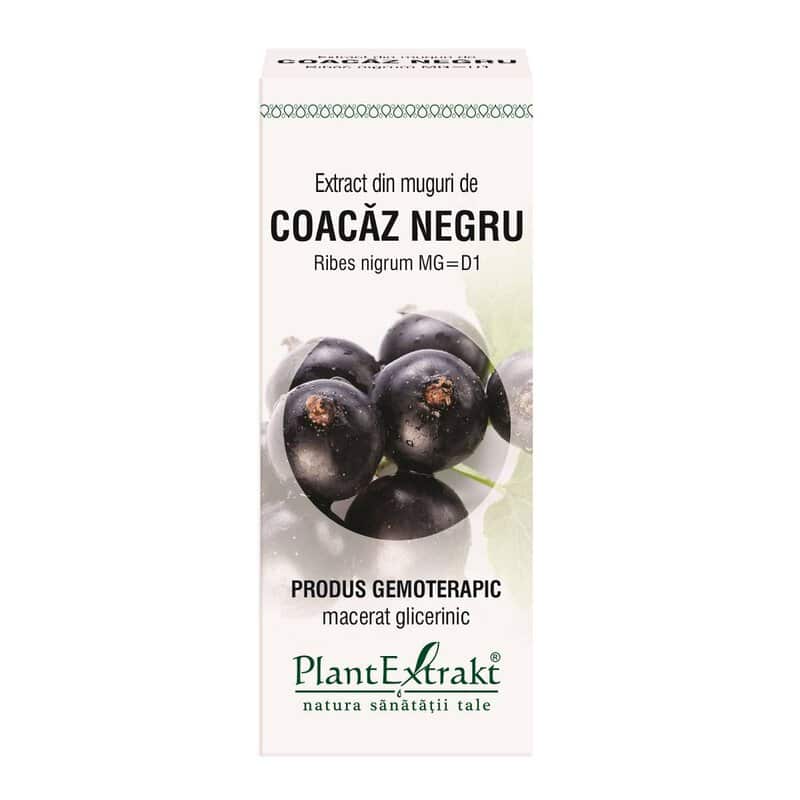 Coacaz Negru - muguri - gemoderivat - antialergic