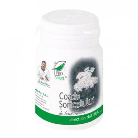 Coada Soricelului
