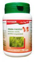 Coada calului
