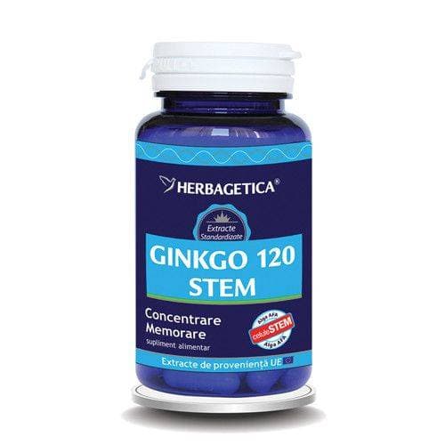GINKGO 120 STEM