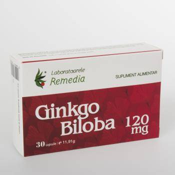 GINKGO BILOBA 120mg 30cps
