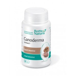 Ganoderma Lucidum extract 500mg 30cps - Rotta Natura