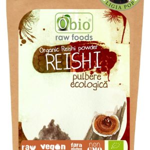 Ganoderma - Reishi pulbere 60g raw eco-bio - Obio