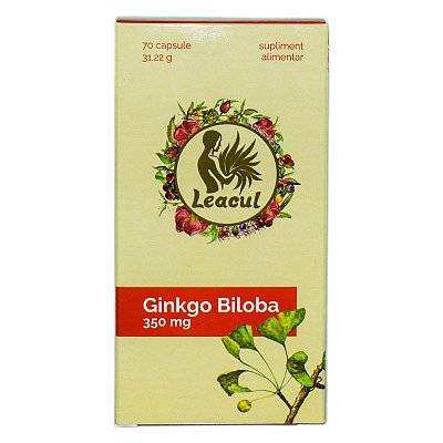 Ginkgo Biloba