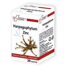 HARPAGOPHYTUM SI ZINC 30cps