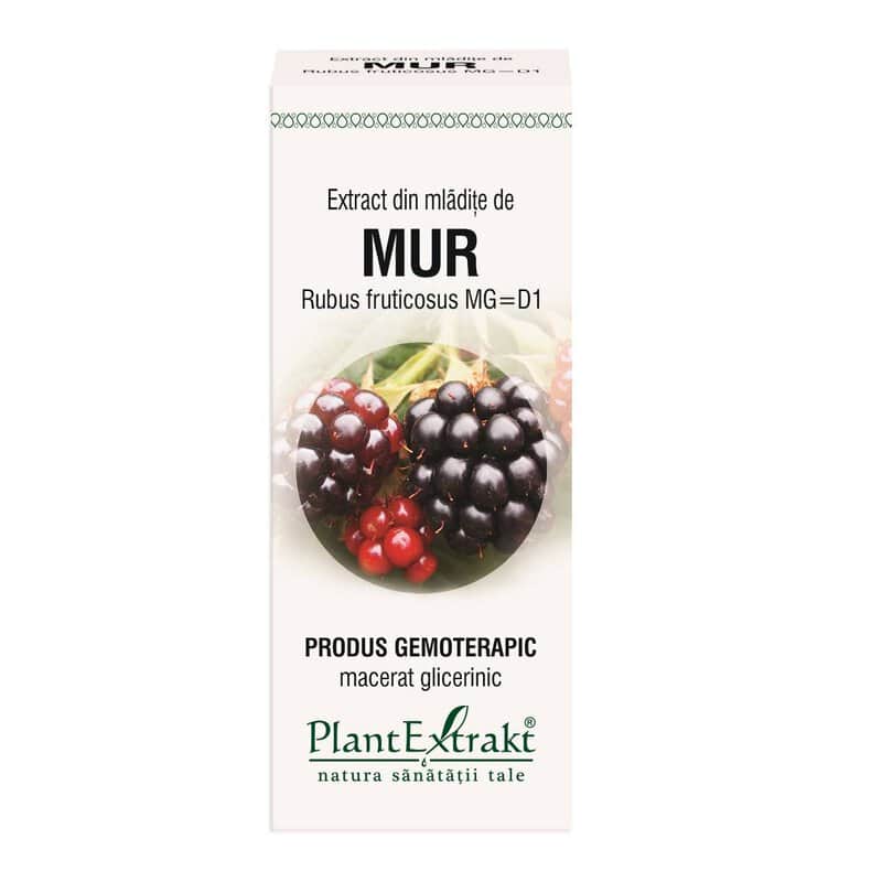 MUR - mladite - gemoderivat - 50ml - PlantExtrakt