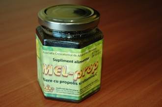 Mel - Prop 200g - Institutul Apicol