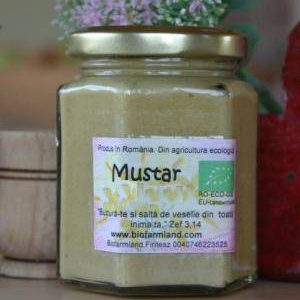 Mustar Bavarian cu boabe intregi BIO 200ml - Biofarmland