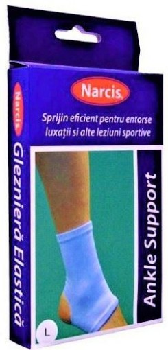 Narcis Glezniera elastica L - 1 bucata