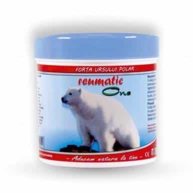One reumatic forta ursului polar