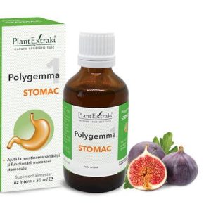 Polygemma 1 - Stomac 50ml Plantextrakt