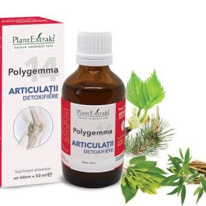 Polygemma 14 - Articulatii detoxifiere 50ml Plantextrakt