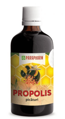 Propolis tinctura - 100ml - PARAPHARM