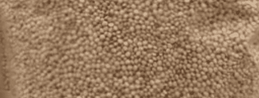 Quinoa 500g - Phytopharm