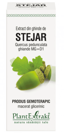 STEJAR - ghinde - gemoderivat - 50ml - PlantExtrakt