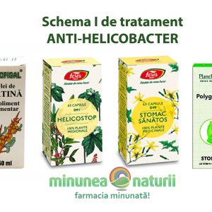 Schema I ANTI-HELICOBACTER