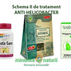 Schema II ANTI-HELICOBACTER