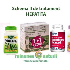 Schema II tratament HEPATITA