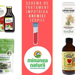 Schema de tratament Anemie feripriva (copii)