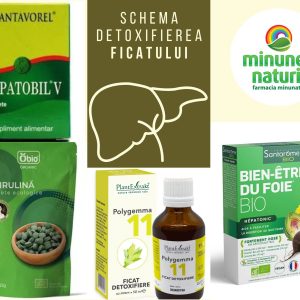 Schema detoxifiere hepatica