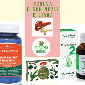 Schema dischinezie biliara tratament vezica biliara lenesa