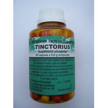 Tinctorius