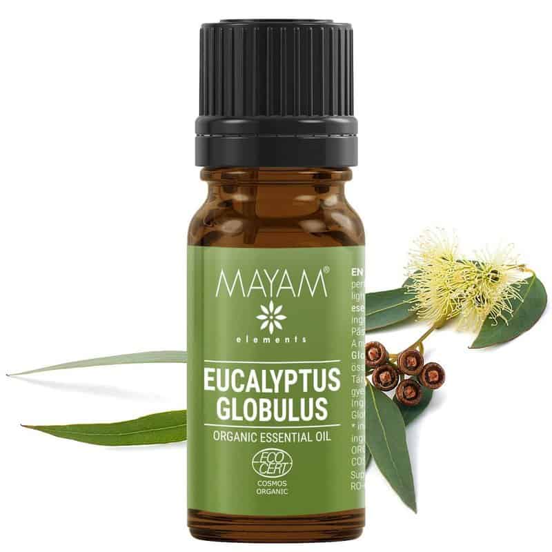 Ulei esential de Eucalipt Globulus