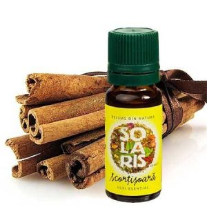 Ulei esential de scortisoara 10ml - Solaris