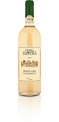 VIN PINOT GRIS SEC - ECO-BIO - 750ml - TERRA NATURA