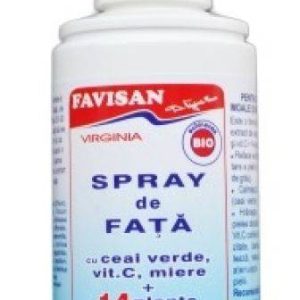 VIRGINIA SPRAY DE FATA CU CEAI VERDE 100ml