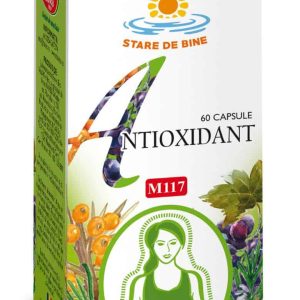 Antioxidant