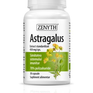 Astragalus