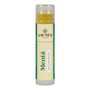 Balsam de buze cu menta