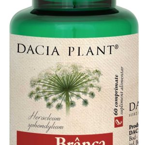 Branca Ursului