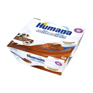 Budinca cu ciocolata de la 10 luni