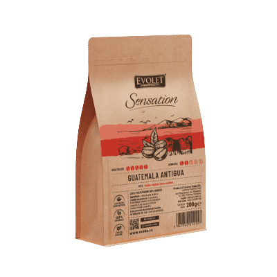 Cafea boabe Guatemala Antigua