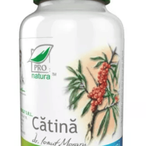 Catina