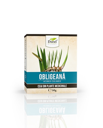 Ceai de Obligeana, 50g, Dorel Plant 1 Ceai de Obligeana