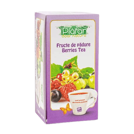 Ceai de fructe de padure