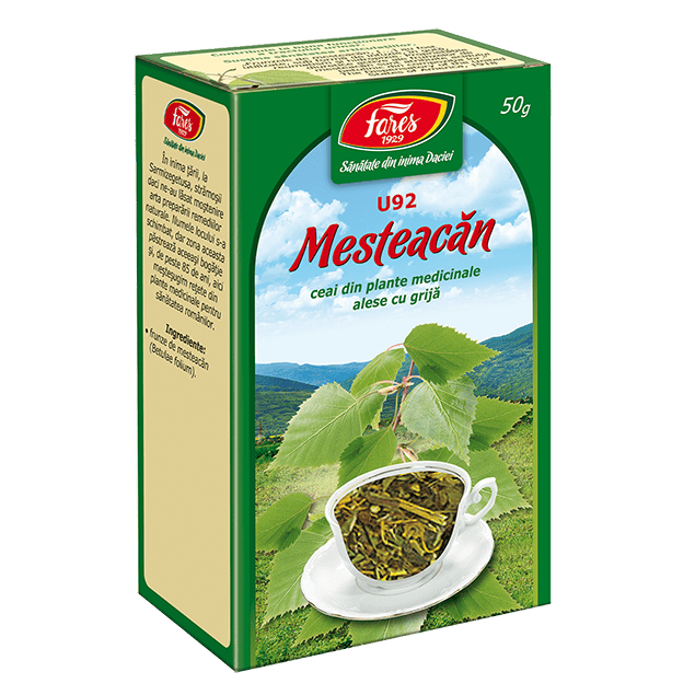 Ceai de mesteacan