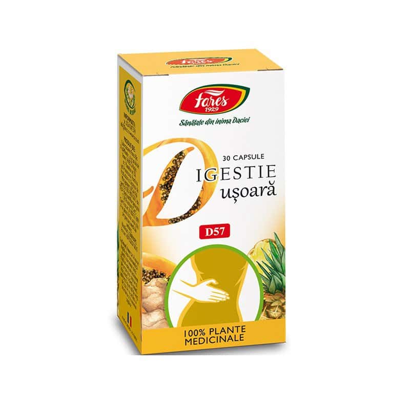 Digestie usoara