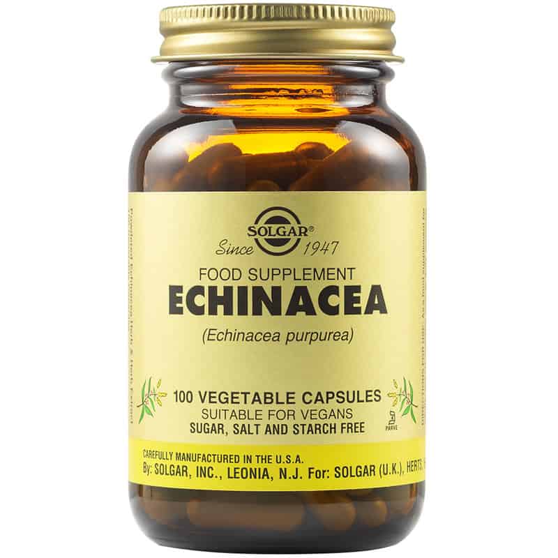 Echinacea