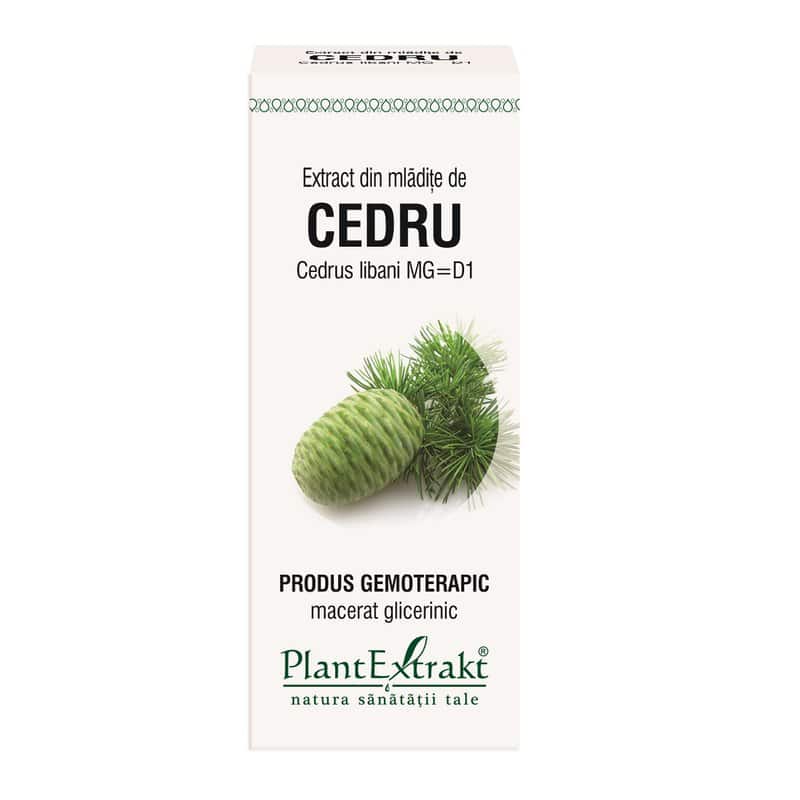 Extract din mladite de Cedru