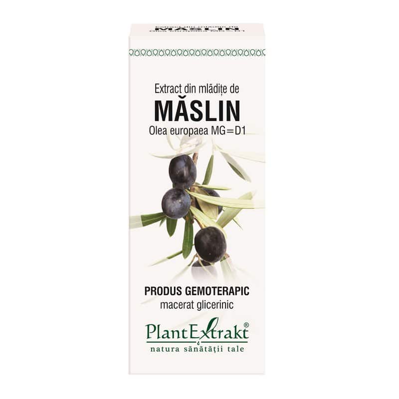 Extract din mladite de Maslin