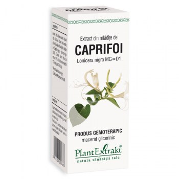 Extract din mladite de caprifoi