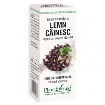 Extract din mladite de lemn cainesc