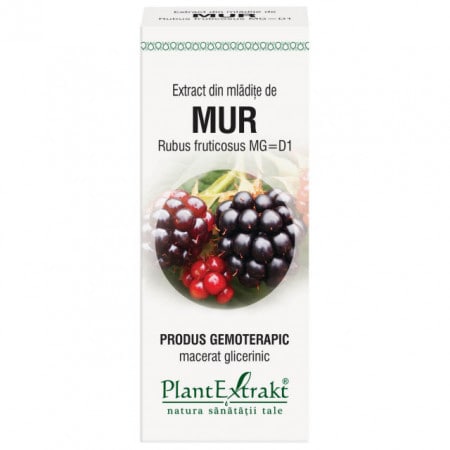 Extract din mladite de mur