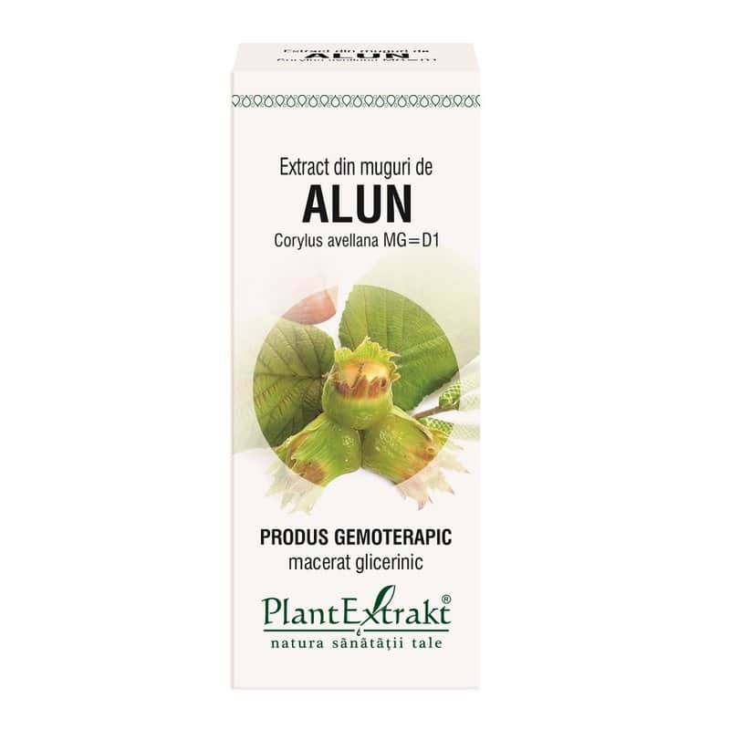 Extract din muguri de Alun