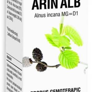 Extract din muguri de Arin Alb