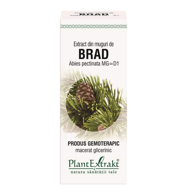 Extract din muguri de Brad